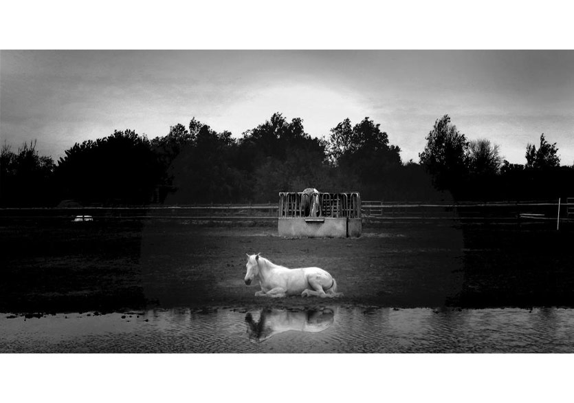 Artcrowd Istanbul’dan Yeni Sergi: “Zihin Kütüphanesi”