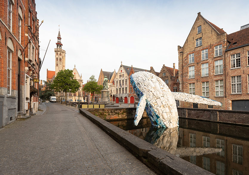 Brugge Kanalı’nda Dev Bir Balina