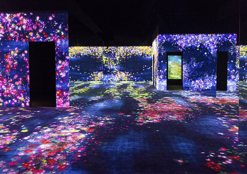 Dijital Bahçenin Yaşam Döngüsü