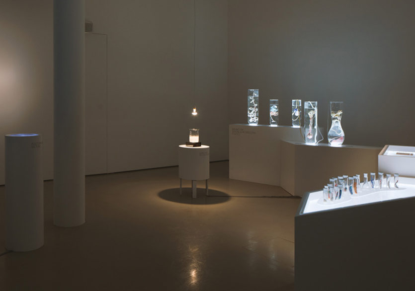 Pınar Yoldaş’ın Biyoloji ve Sanatı Birleştiren Sergisi