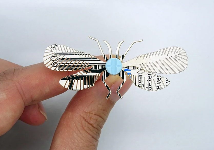 Merel Slootheer’dan Kâğıt Böcekler