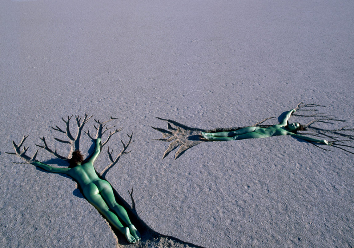 Doğanın İçinde Gerçeküstü Bir Dünya
