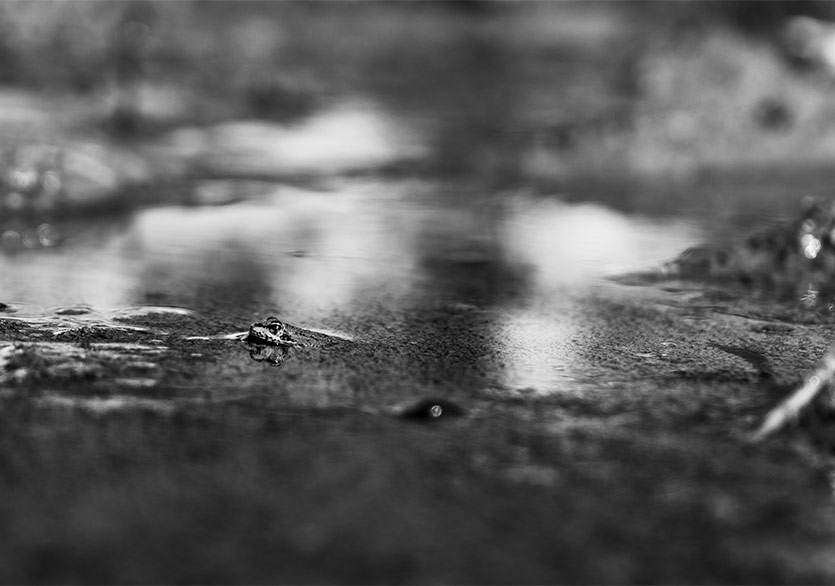 Galeri / Miz’den Yeni Sergi: “Çok Düşünüyorsun”