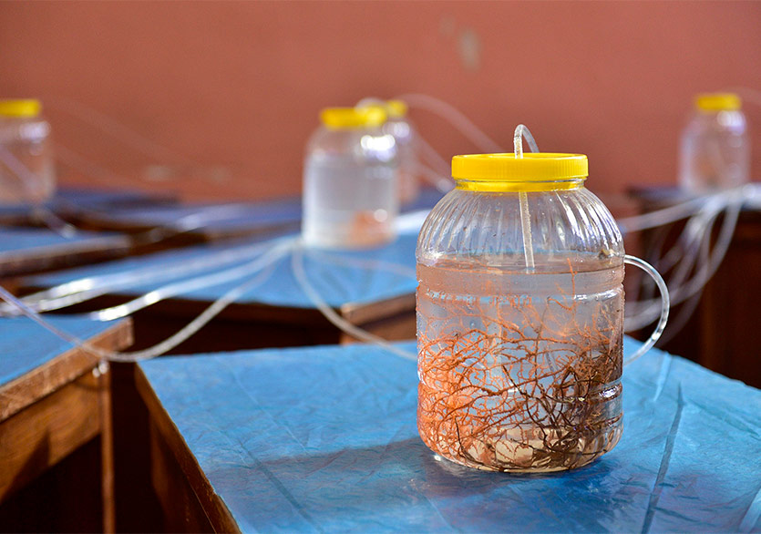 “Ateş Çağı” Sergisi Çankaya Çağdaş Sanatlar Merkezi’nde 