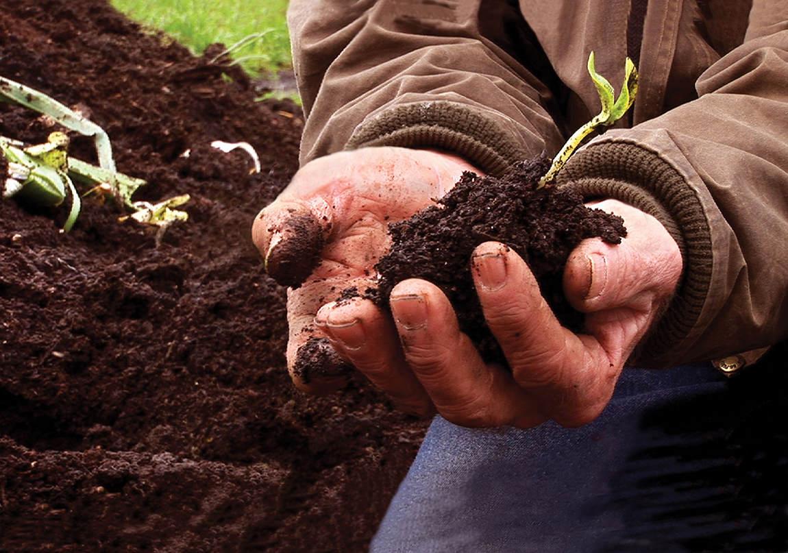 Sürdürülebilir Yaşam Festivali Yaklaşıyor
