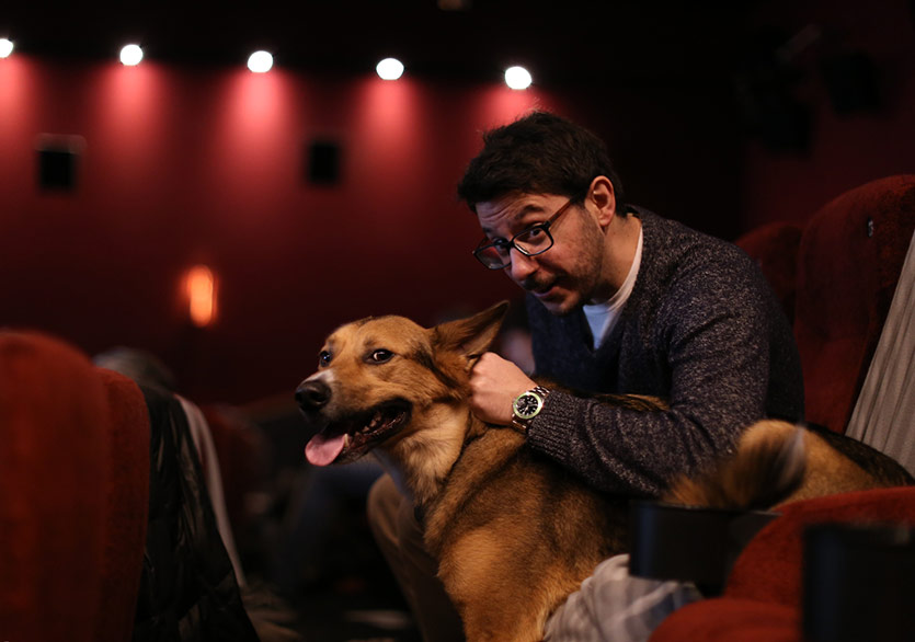 Edinburgh’da Seyirciler Köpekleriyle Isle of Dogs Filmini İzledi