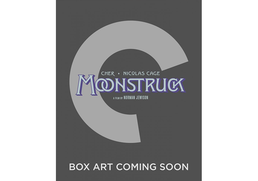 Criterion Collection’dan The Irishman’e Özel Set