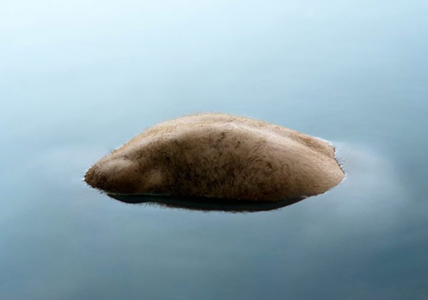 Günlük Kesitlerin Şiirsel Fotoğrafları