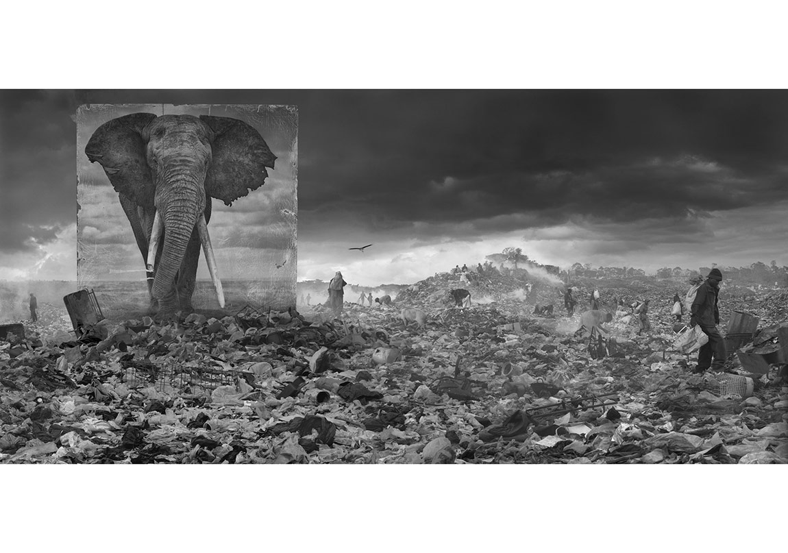 Fotoİstanbul Başlıyor