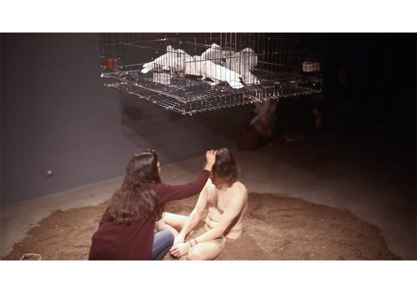 Performistanbul’dan Yeni Sergi: “Seçkiler: performistanbul.data/izle”