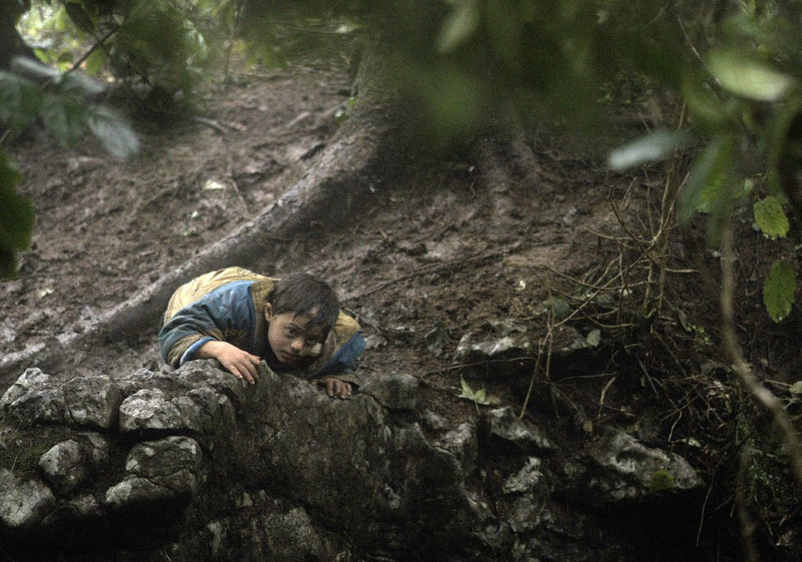 Cannes Ödüllü ve Oscar Adayı Filmler Aynı Salonda