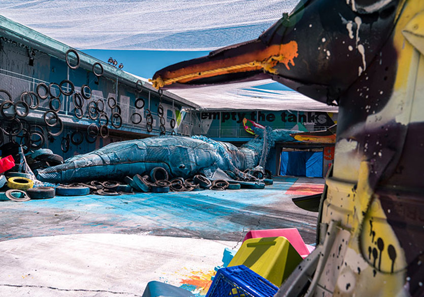 Vahşi Doğaya Açılan Çevresel Atıklar