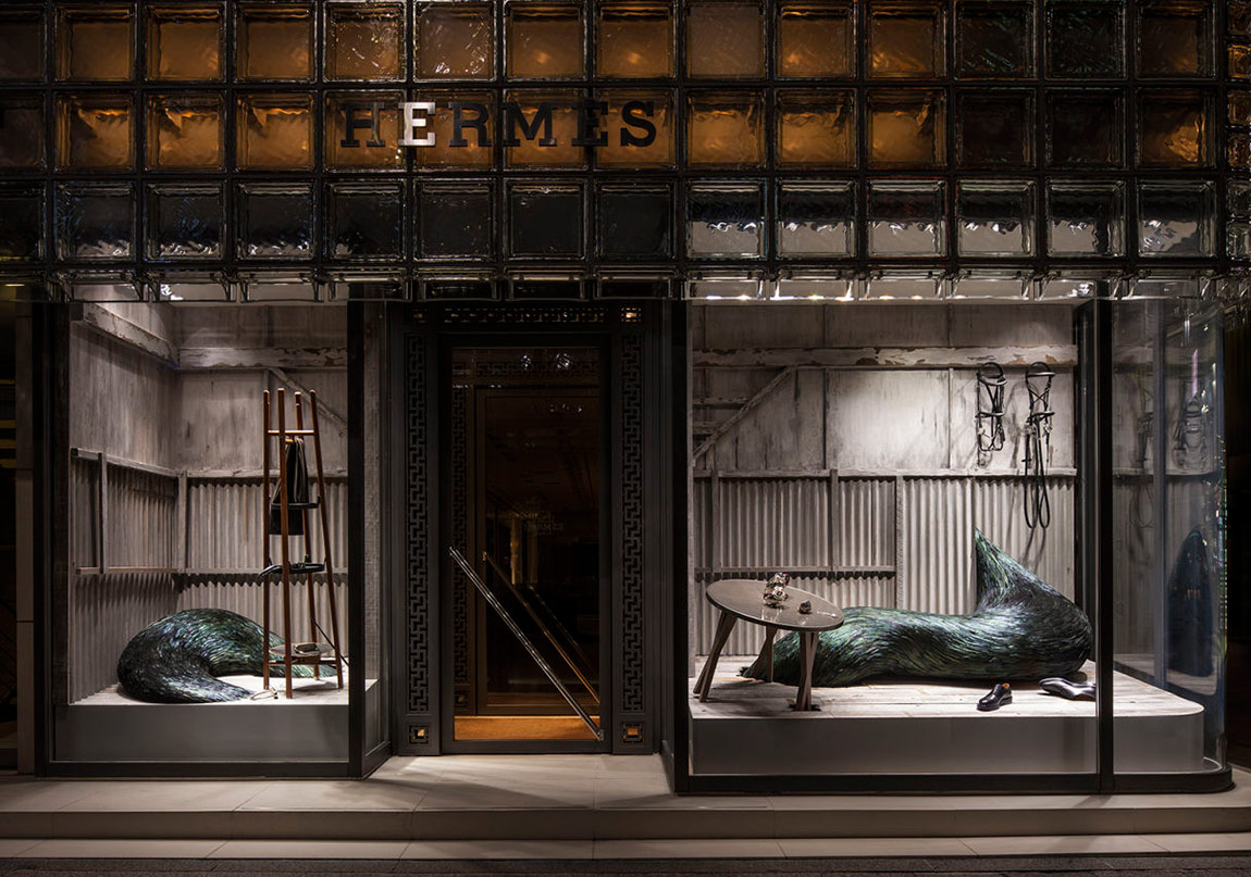 Göz Alıcı Kuş Tüyleri