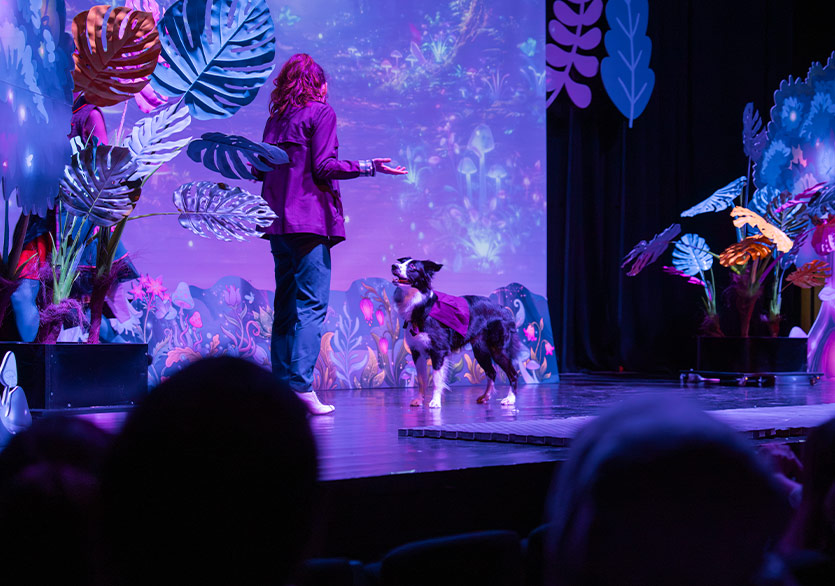 Kerem Giriş’in “Kaldırım Mühendisi” Sergisi Art On İstanbul’da