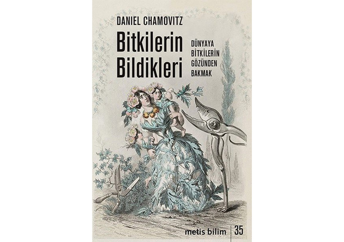 Dünyaya Bitkilerin Gözünden Bakmak