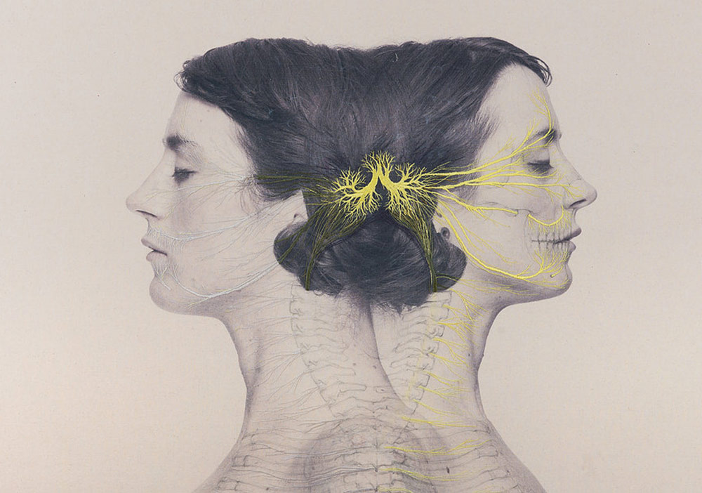 İnsan Anatomisine Sanatsal Bakış