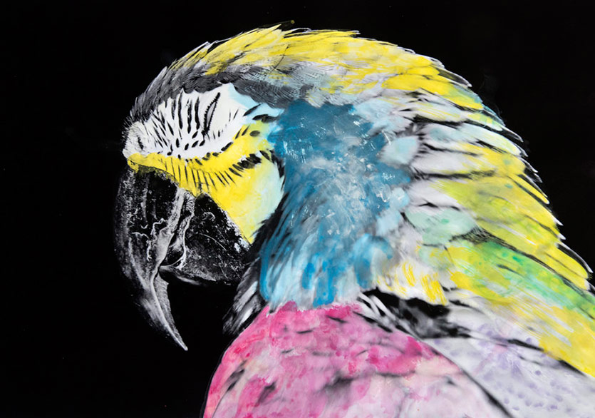 Renk Körlerinin Gözünden Manzaralar