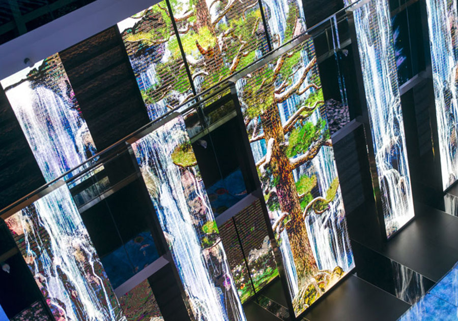 Tayvan’ın Vahşi Yaşamı Bir Bankanın İçinde