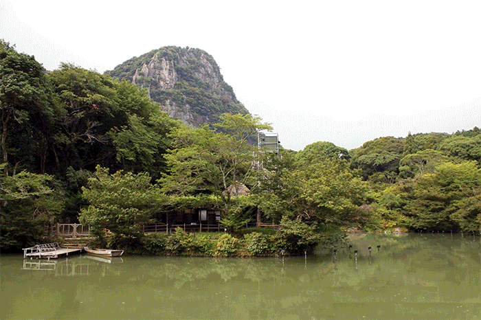 Dijital Balıklar Ya Tutarsa?
