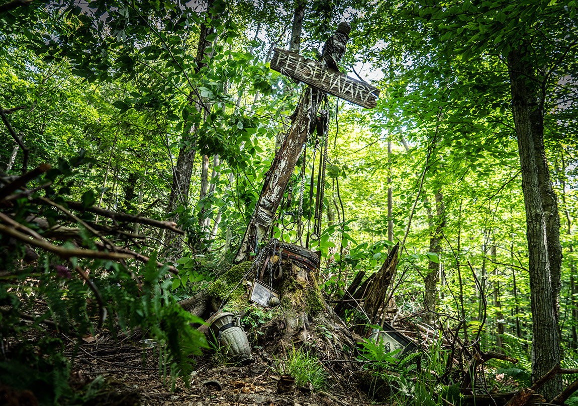 Hayvan Mezarlığı’ndan İlk Fragman Yayımlandı