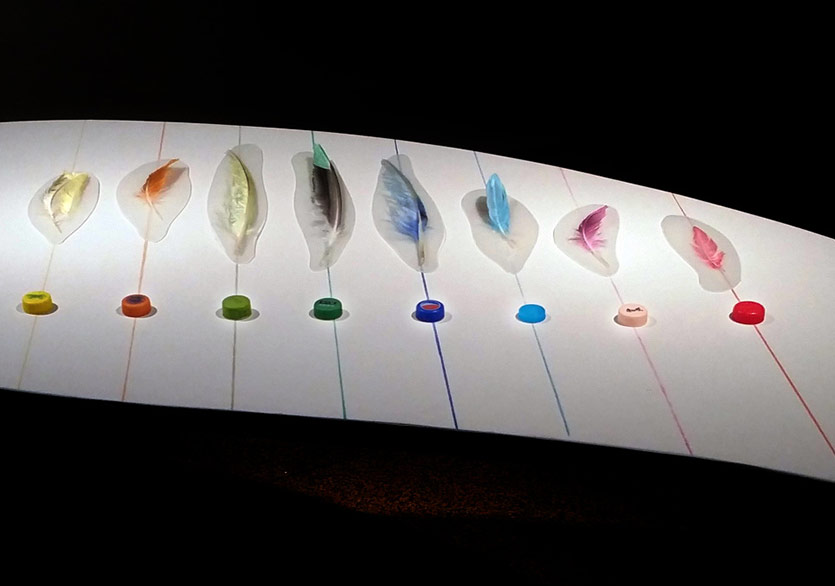 Pınar Yoldaş’ın Biyoloji ve Sanatı Birleştiren Sergisi