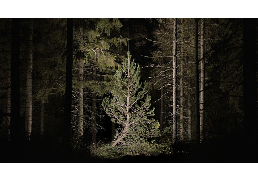 Antti Laitinen’in “Coalescing with Nature” Sergisi Zarastro Art’ta