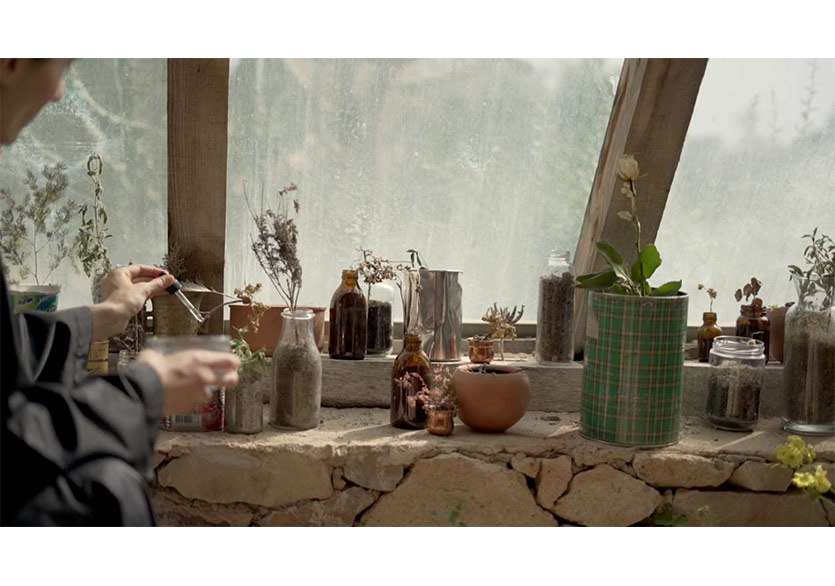 Monitor’dan Yeni Sergi: “Hiçbir şey filizlenmediğinde sen hayatta kaldın” 