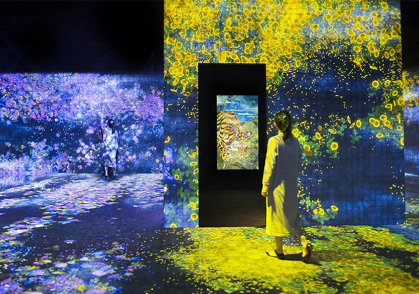 Dijital Bahçenin Yaşam Döngüsü