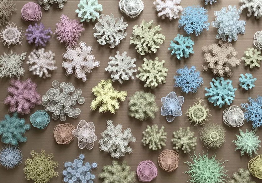 Mercan Resiflerinin Büyülü Dünyası