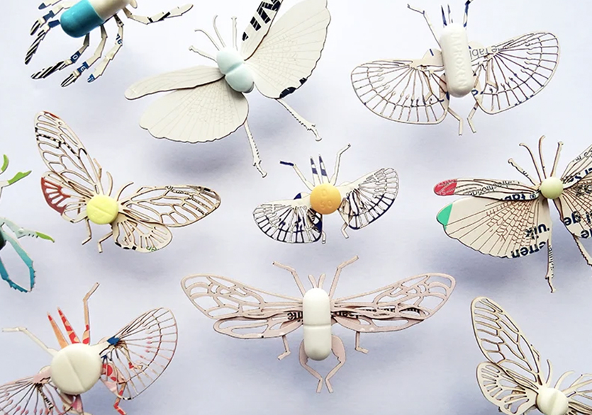 Merel Slootheer’dan Kâğıt Böcekler