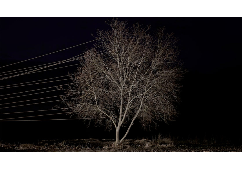 Antti Laitinen’in “Coalescing with Nature” Sergisi Zarastro Art’ta