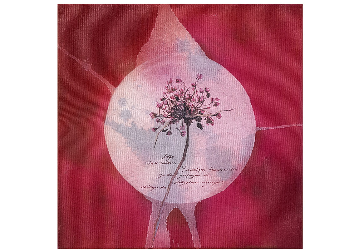 Resmin Lirik Söylemi
