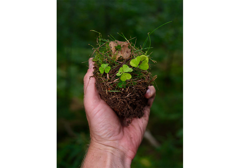 Göç ve Aidiyet Odağında Bir Sergi: “Dünyanın Sarsak Muğlaklığı”