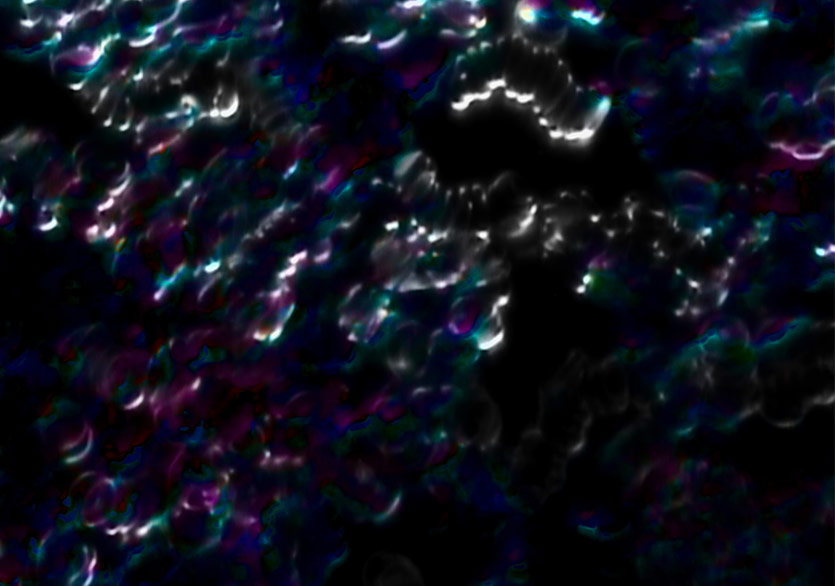 Aysun Bolten’in ilk kişisel sergisi “Ben’in Ötesi” Galeri / Miz’de