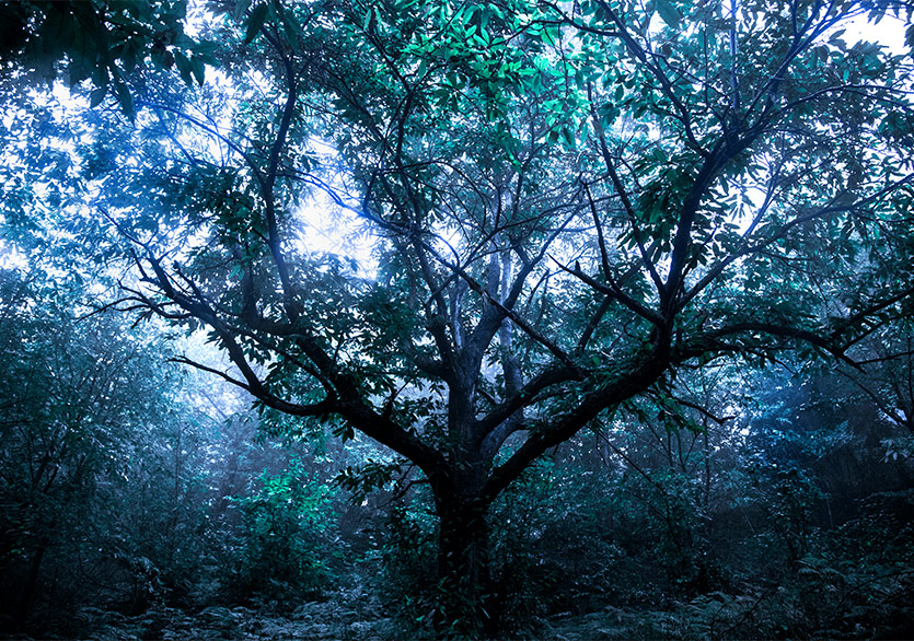 Mamut Art Project’in 12. Edisyonu Başlıyor