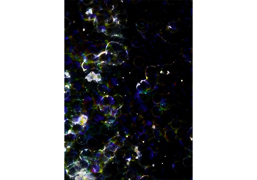 Aysun Bolten’in ilk kişisel sergisi “Ben’in Ötesi” Galeri / Miz’de