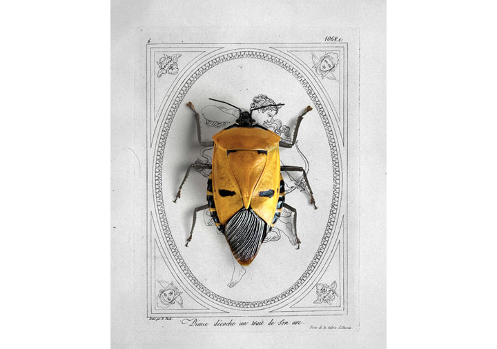 Unutulan Nesneleri Ortaya Çıkartan Kolajlar