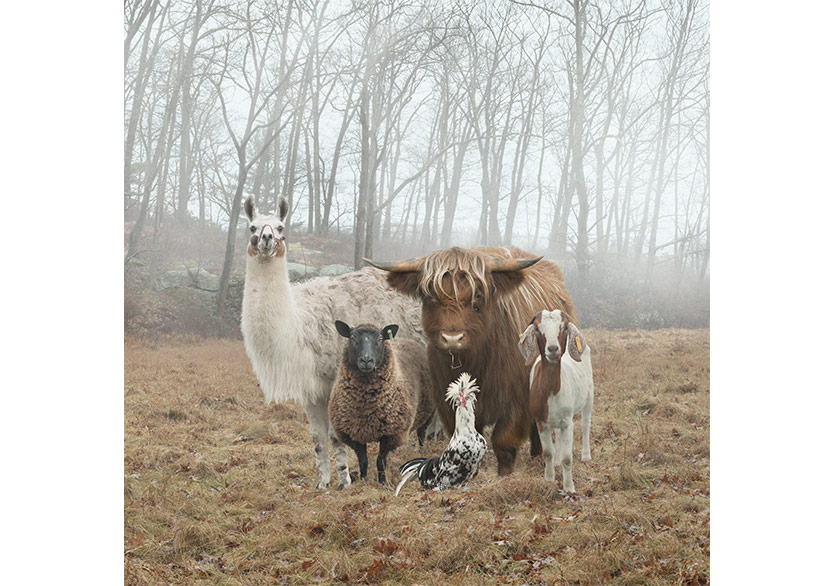 212 Photography Istanbul 5 Ekim’de Başlıyor