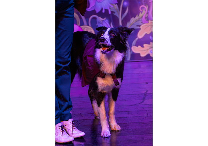 “Dedektif Köpek Dodo”, Çocuk Bayramı Haftasında Sahnede