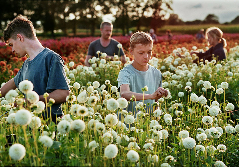 Filmekimi 7 Ekim’de Başlıyor