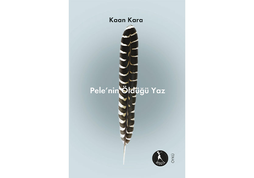 2021 NDS Edebiyat Ödülü Sahibini Buldu