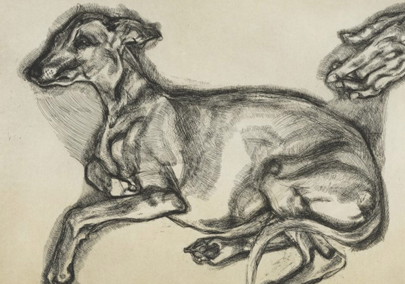 Sanat Dünyasından Köpekler Sergi Düzenliyor