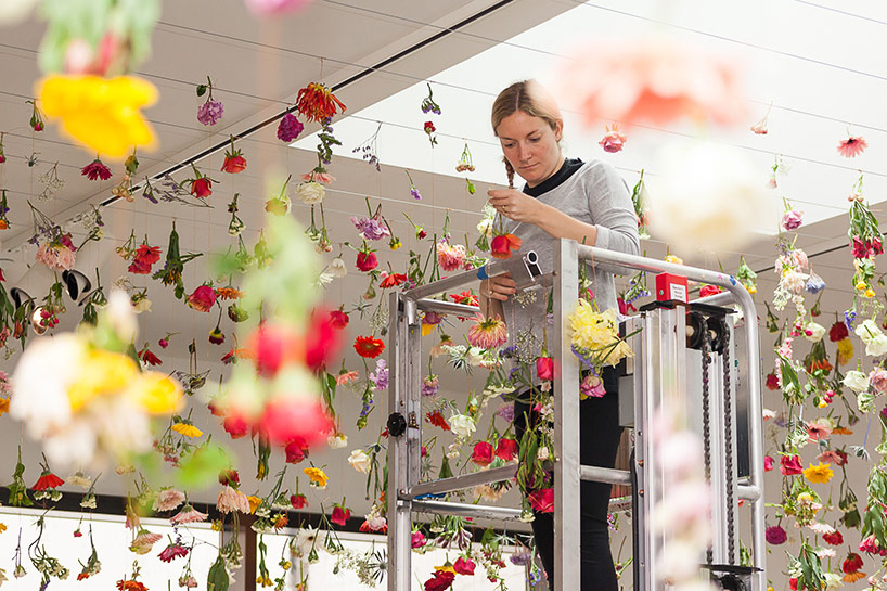 Doğadaki Çürüme Serüvenine Başka Bir Pencereden Bakmak
