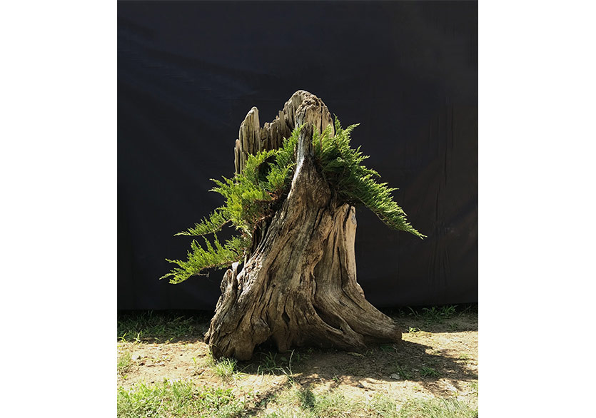 Alper Aydın’ın Açık Hava Sergisi “Fata Morgana” Ordu Yason Burnu’nda