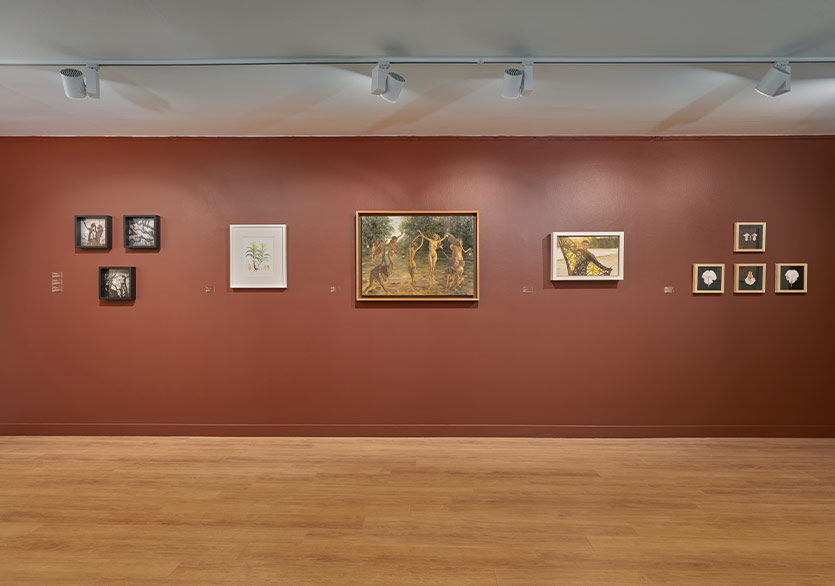 EVİN’den Yeni Sergi: “Uzun Soluklu Bir Yolculuk: EVİN’in 30 Yılı”