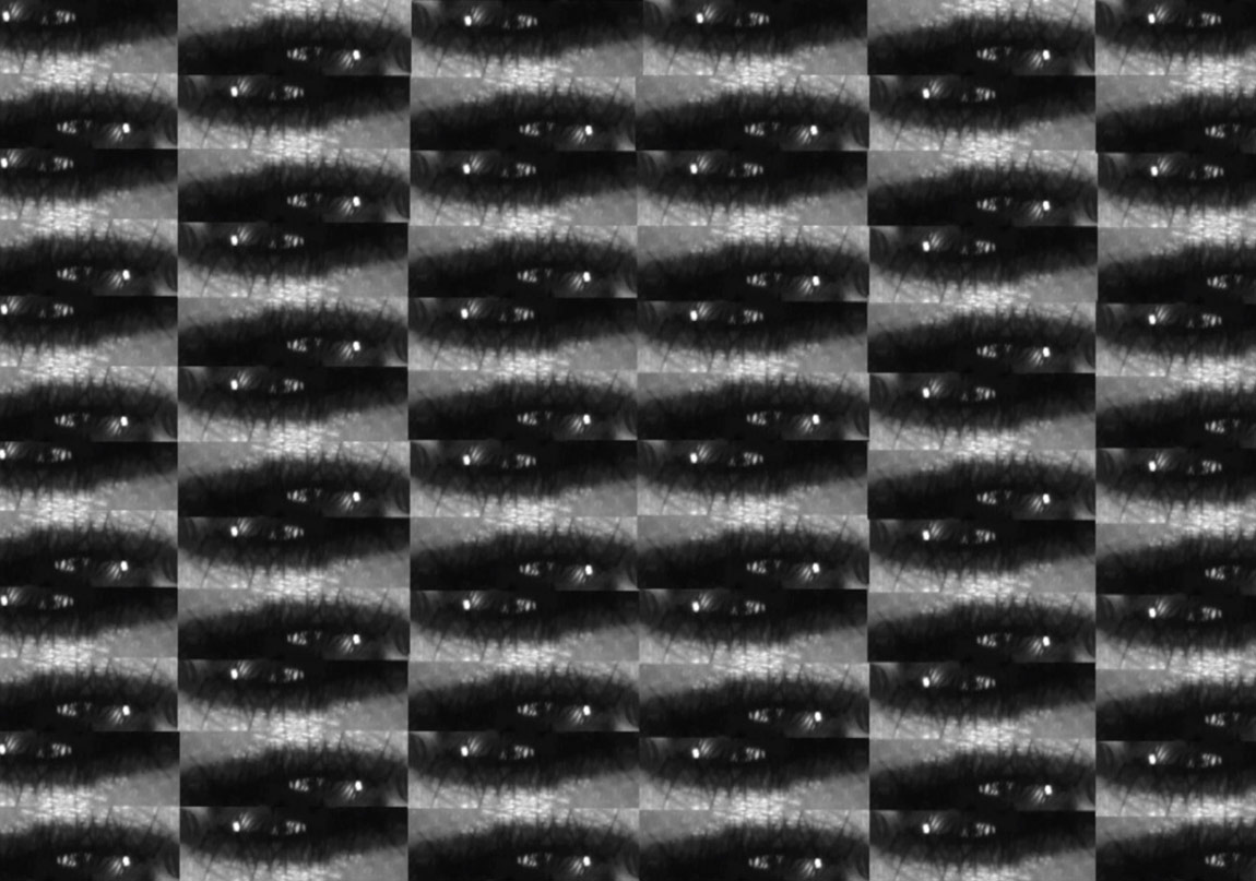 Sınır Çizen Gridler