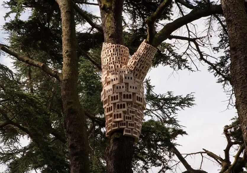 Londra’da Ağaçlara Yerleştirilen Kuş Evleri