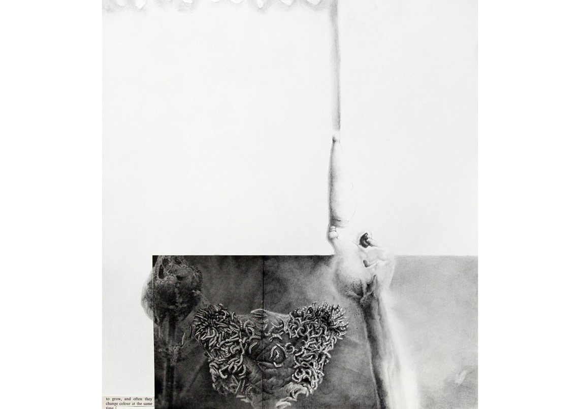 Organik ve İnorganiğin Eşiğinde Bir Ütopya