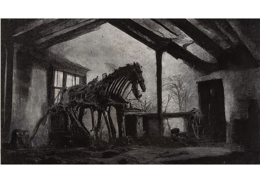 “Olimpos Sergileri” Serisi “Enteriyör” ile Devam Ediyor