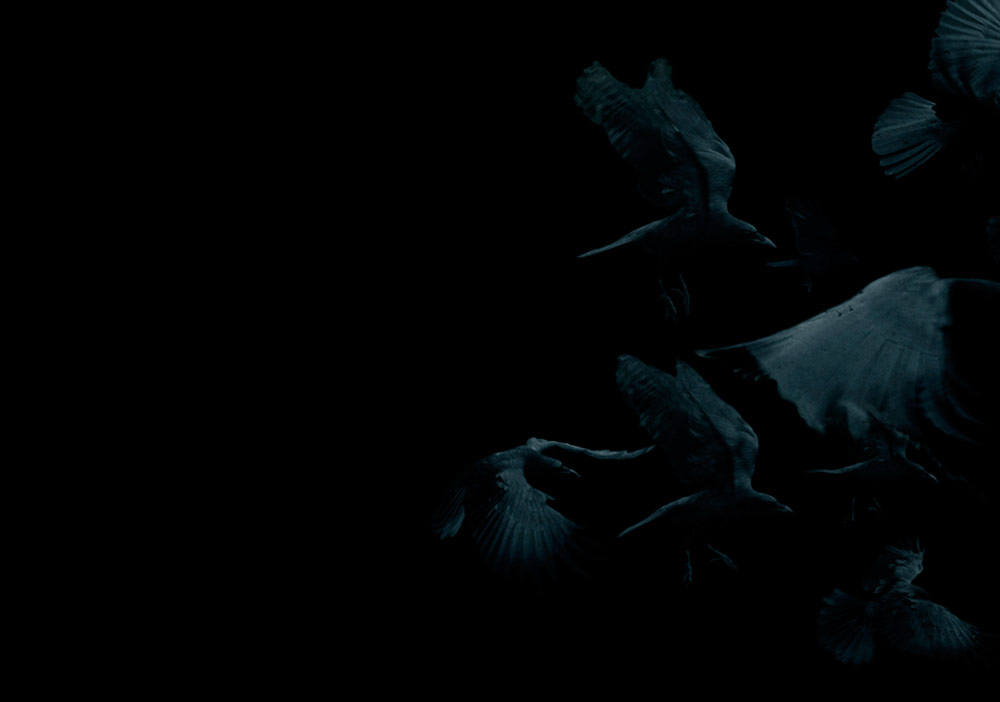 Karanlıkta Görünmez Bir İmparatorluk 